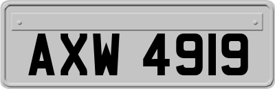 AXW4919