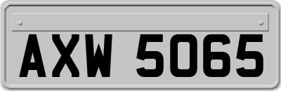 AXW5065