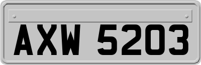 AXW5203