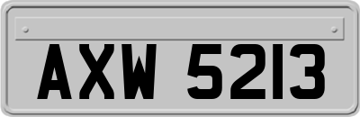 AXW5213