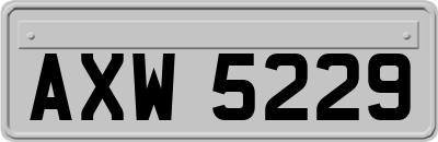 AXW5229
