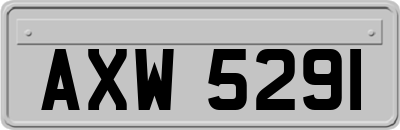 AXW5291