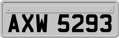 AXW5293