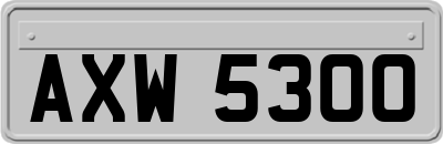AXW5300