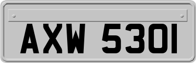 AXW5301