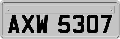 AXW5307