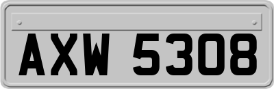 AXW5308