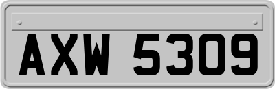 AXW5309