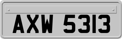AXW5313