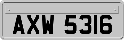 AXW5316