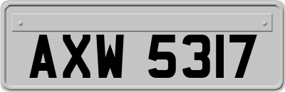 AXW5317