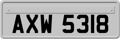 AXW5318