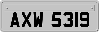 AXW5319