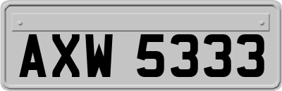 AXW5333