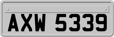 AXW5339