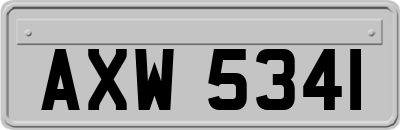 AXW5341