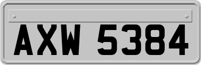 AXW5384