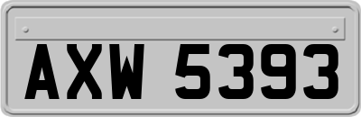 AXW5393