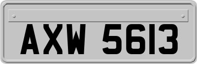 AXW5613