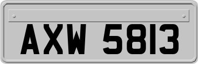 AXW5813