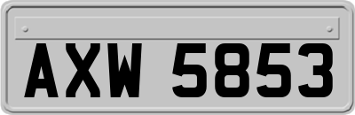 AXW5853
