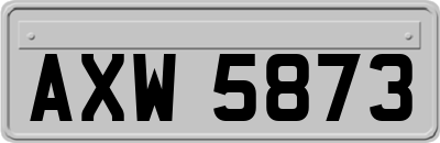 AXW5873