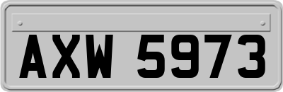 AXW5973