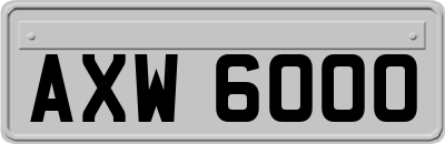 AXW6000