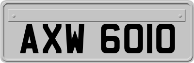 AXW6010