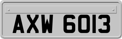AXW6013
