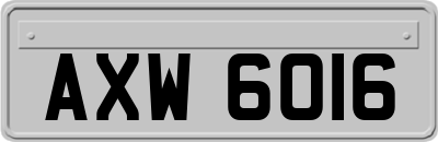 AXW6016