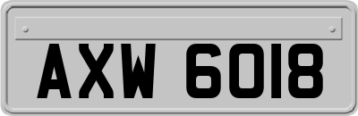 AXW6018