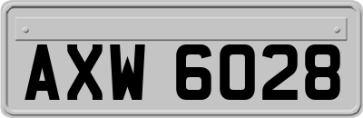 AXW6028
