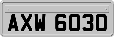 AXW6030
