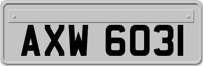 AXW6031