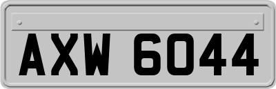 AXW6044