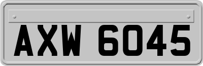 AXW6045