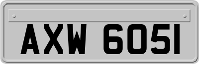 AXW6051