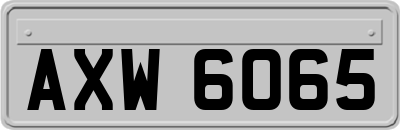AXW6065