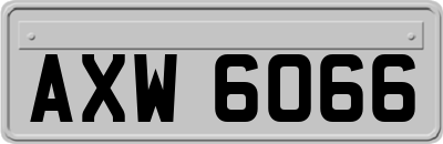 AXW6066