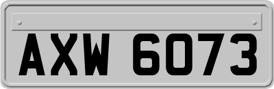 AXW6073