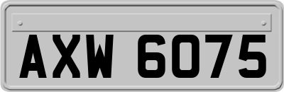 AXW6075