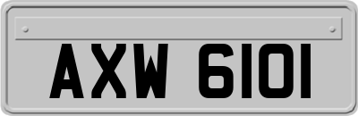 AXW6101