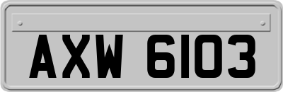 AXW6103