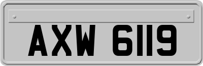 AXW6119