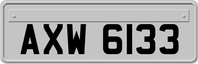 AXW6133