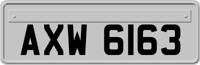 AXW6163