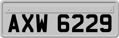 AXW6229