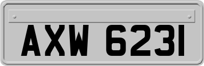 AXW6231