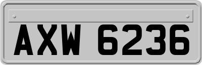 AXW6236